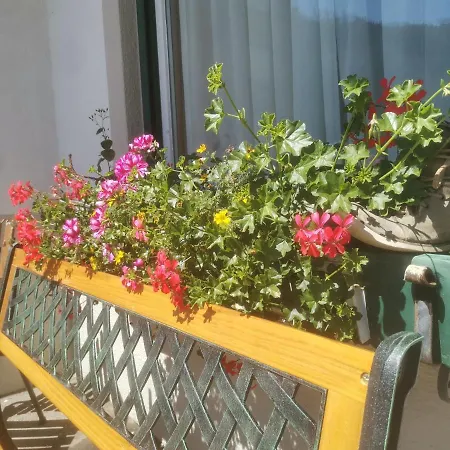 Appartement Zirbennest *